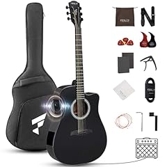 Fesley acoustic electric for sale  Delivered anywhere in USA 
