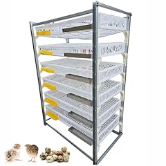 Mflcbk layer quail for sale  Delivered anywhere in UK