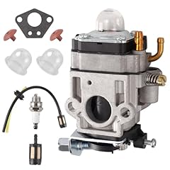 Erato carburatore per usato  Spedito ovunque in Italia 