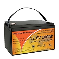 12v 100ah lifepo4 for sale  Delivered anywhere in USA 