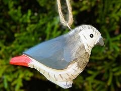 Selsela grey african for sale  Delivered anywhere in USA 