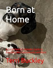 Born home small for sale  Delivered anywhere in USA 