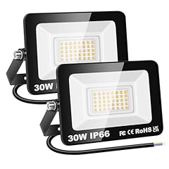 Rigidon 30w luci usato  Spedito ovunque in Italia 
