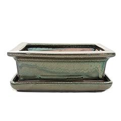 Pot bonsaï soucoupe d'occasion  Livré partout en France