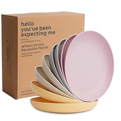 Nook theory reusable for sale  Delivered anywhere in USA 