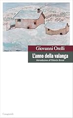 Anno della valanga usato  Spedito ovunque in Italia 