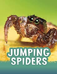 Jumping spiders for sale  Delivered anywhere in UK