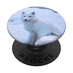 Arctic fox for sale  Delivered anywhere in USA 