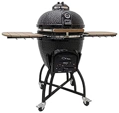 Vision grills ceramic for sale  Delivered anywhere in USA 
