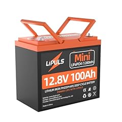 Lipuls 12v 100ah for sale  Delivered anywhere in USA 