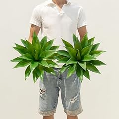 Ttranewsoo artificial agave for sale  Delivered anywhere in USA 