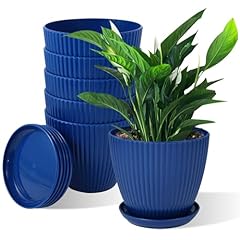 Muxincamp inch large for sale  Delivered anywhere in USA 