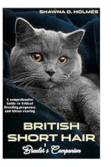 British short hair for sale  Delivered anywhere in USA 