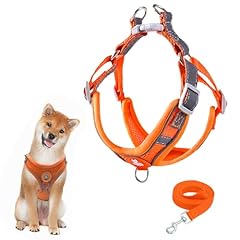 Hundegeschirr hundeleine set gebraucht kaufen  Wird an jeden Ort in Deutschland