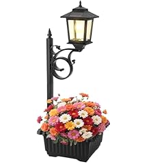 Melunar outdoor flower for sale  Delivered anywhere in USA 