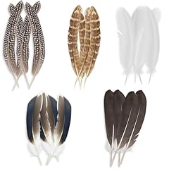 20pcs pheasant feathers for sale  Delivered anywhere in UK