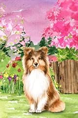 Shetland sheepdog sheltie for sale  Delivered anywhere in USA 