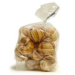 Large snail shells for sale  Delivered anywhere in Ireland