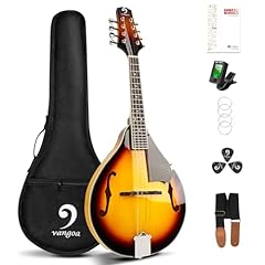 Vangoa instrument mandoline d'occasion  Livré partout en France