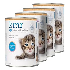 Pet kmr kitten for sale  Delivered anywhere in USA 