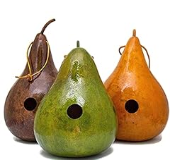 Gourd birdhouses birthday for sale  Delivered anywhere in USA 