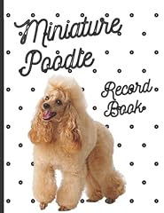 Miniature poodle fantastic for sale  Delivered anywhere in UK