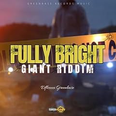 Fully bright 2024 gebraucht kaufen  Wird an jeden Ort in Deutschland