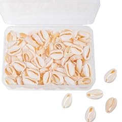 100pcs cowrie shell for sale  Delivered anywhere in USA 