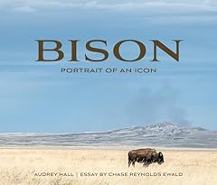 Bison portrait an d'occasion  Livré partout en France