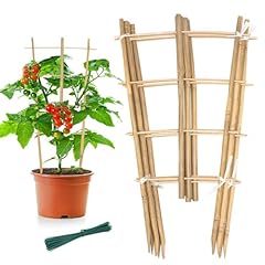 Garden bamboo trellis for sale  Delivered anywhere in USA 