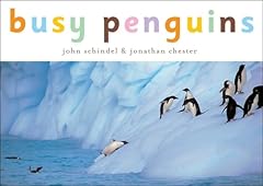 Busy penguins d'occasion  Livré partout en France