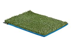 Original surf grass for sale  Delivered anywhere in USA 