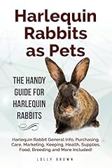 Harlequin rabbits pets for sale  Delivered anywhere in USA 