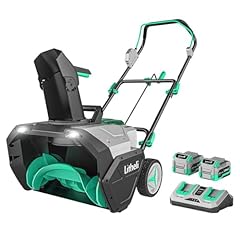 Litheli 2x20v cordless for sale  Delivered anywhere in USA 