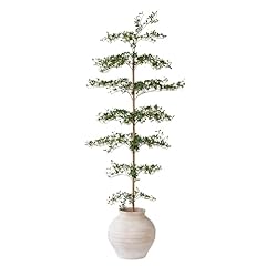 Vynt black olive for sale  Delivered anywhere in USA 