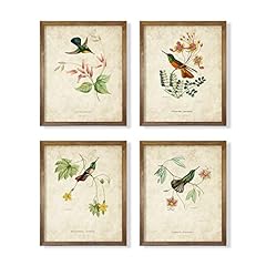 Vintage bird wall for sale  Delivered anywhere in USA 
