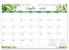 Saiwiimody calendario 2025 usato  Spedito ovunque in Italia 