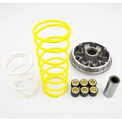 Pinasco 10260303 variatore usato  Spedito ovunque in Italia 