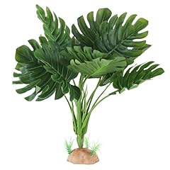 Ibwell reptile plants for sale  Delivered anywhere in USA 