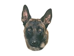 Nobby autocollant malinois d'occasion  Livré partout en Belgiqu
