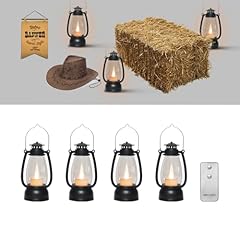 Llq small lantern for sale  Delivered anywhere in USA 
