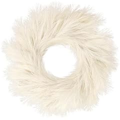 Sggvecsy pampas grass for sale  Delivered anywhere in USA 