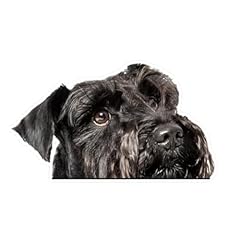 2pcs black miniature for sale  Delivered anywhere in USA 