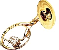Hahapa tuba indien d'occasion  Livré partout en France