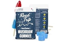 Road trip desert for sale  Delivered anywhere in USA 