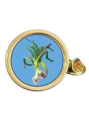 Garden leek gold for sale  Delivered anywhere in UK