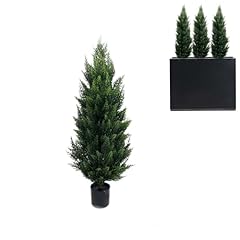 Cedar tree privacy for sale  Delivered anywhere in USA 