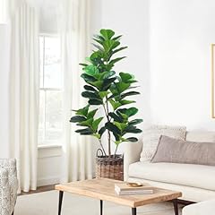 Topweb fig tree for sale  Delivered anywhere in USA 