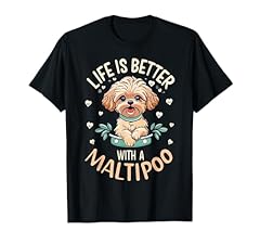 Life better maltipoo for sale  Delivered anywhere in USA 