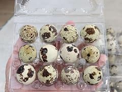 Fresh tasty organic for sale  Delivered anywhere in USA 